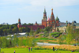 picture